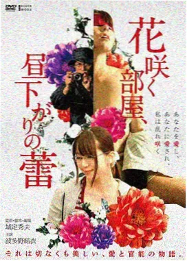 惊情四百年 莫妮卡贝鲁奇